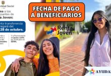 Joven estudiante revisando en su teléfono móvil el pago de la quinta transferencia de Renta Joven