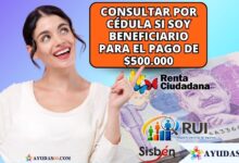 Cómo saber si soy beneficiario de Renta Ciudadana