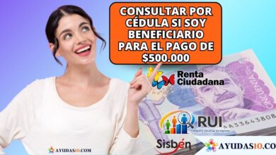 Cómo saber si soy beneficiario de Renta Ciudadana